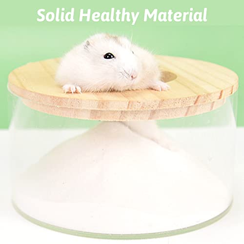 Transparent Bath Box & Digging Room - Let Your Small Animal Enjoy An Exciting Experience