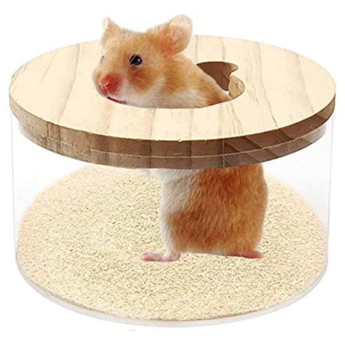 Transparent Bath Box & Digging Room - Let Your Small Animal Enjoy An Exciting Experience