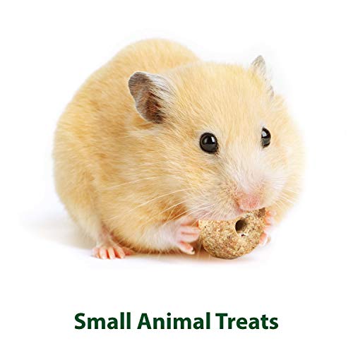 Apple Baked Treats for Pet Small Animals