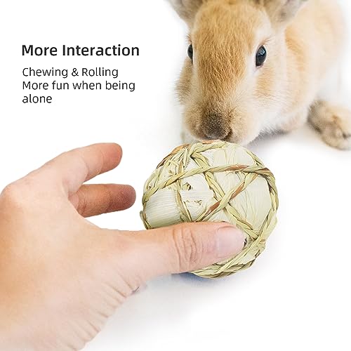 Rolling Chew Toys & Gnawing Treats for Degus