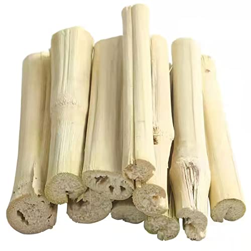 Toys for Teeth - Natural Sweet Bamboo Sticks