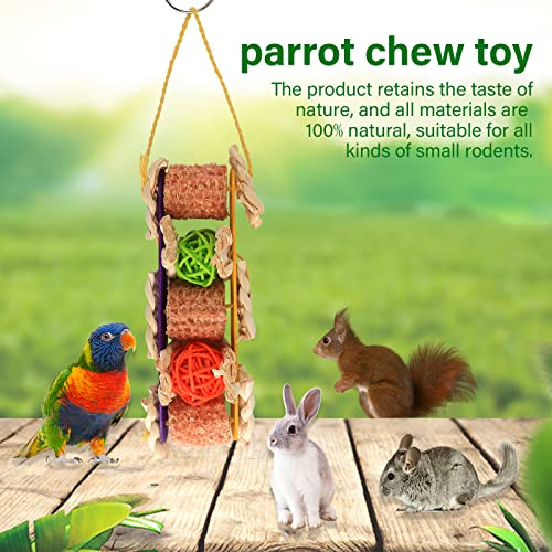 Small Animal Teeth Care Molar Tool Chew Toy Set - 2PCS Toys