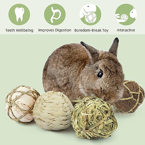 Rolling Chew Toys & Gnawing Treats for Degus