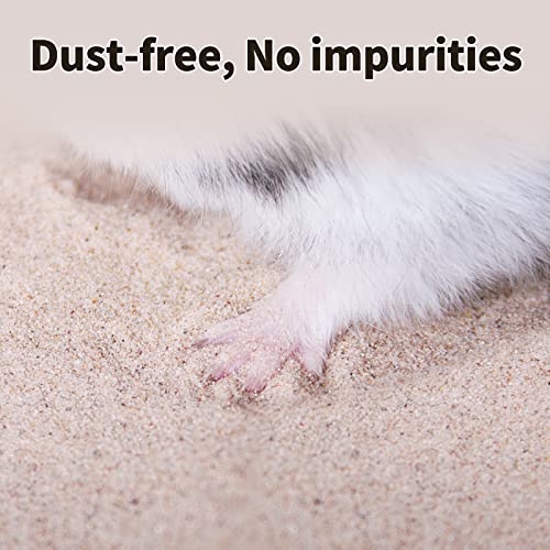 No-Dust Desert Sand Natural Cleansing Potty Litter - 5.5lb
