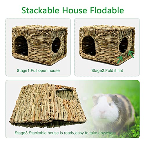 Large Woven Straw House - Give Your Degu the Perfect Hideaway