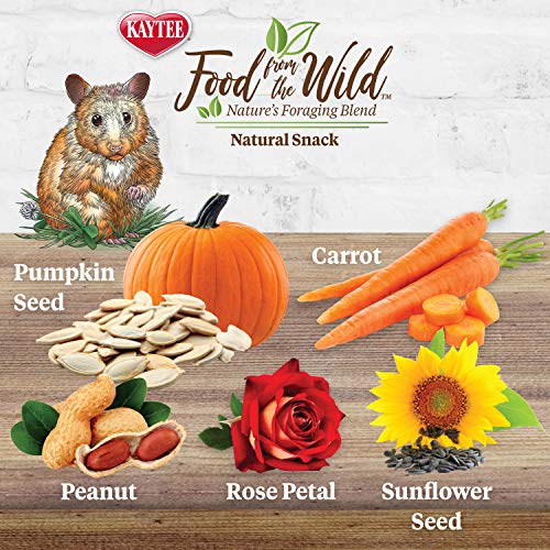 All-Natural Snack Food for Degus