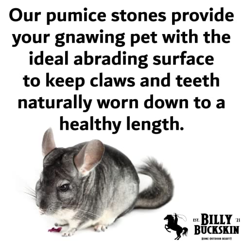 Volcanic Pumice Chinchilla Chew Blocks | Mined in USA | 100% Natural and Genuine | Pumice Stone for Small Animals | by Billy Buckskin Co. | Large Natural Shape | 8 Pack