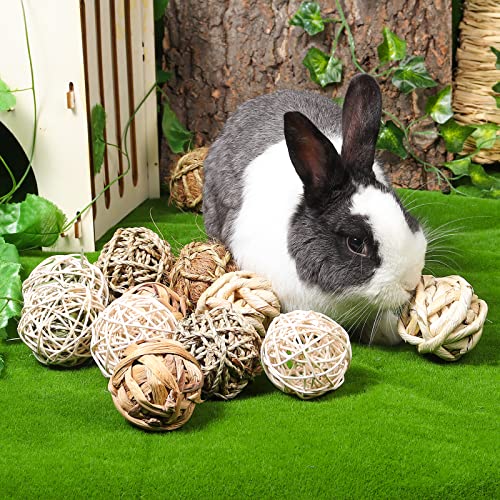 Small Animals Activity Toys & Chewing Treats Set - 12PCS Small Pet Balls