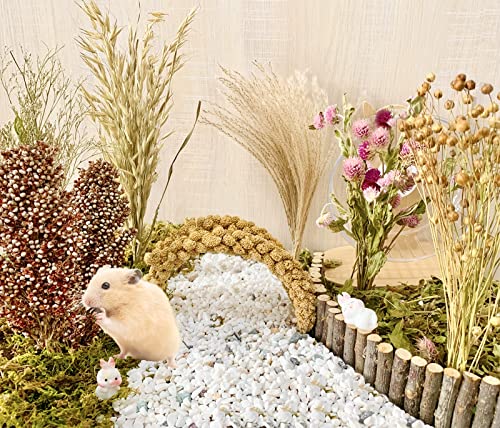 Bedding with Flowers, Herbs & Cereal Grain - For House Cage Habitat