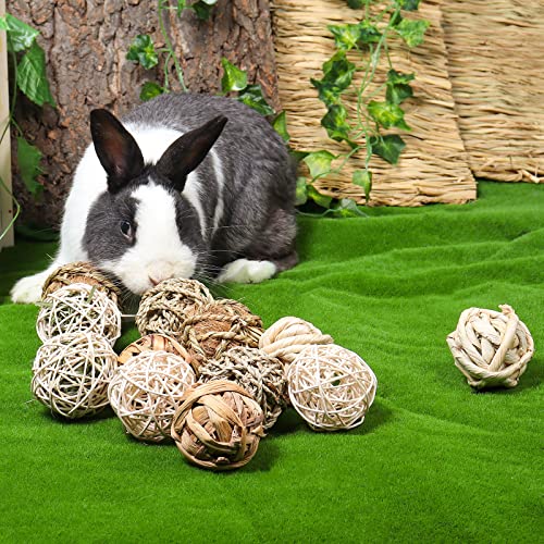 Small Animals Activity Toys & Chewing Treats Set - 12PCS Small Pet Balls