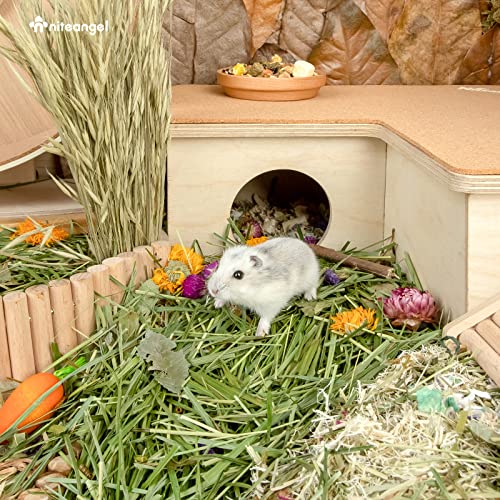 Soft & Natural Degu Bedding Material for Small Animals