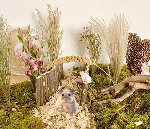 Bedding with Flowers, Herbs & Cereal Grain - For House Cage Habitat